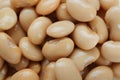 Canned white kidney beans as background, top view