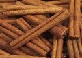 CANNELLE cinnamomum zeylanicum Royalty Free Stock Photo