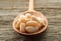 Cannellini beans Royalty Free Stock Photo