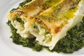 Cannelloni