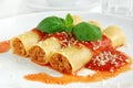 Cannelloni Royalty Free Stock Photo