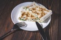 Cannelloni, cottage cheese with greens in pita bread on a plate Royalty Free Stock Photo