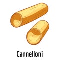 Cannelloni icon, cartoon style