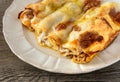 Cannelloni, Italian pasta pastry tubes stuffed with mince meat with white bechamel sauce and cheese crust. Royalty Free Stock Photo