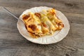 Cannelloni, Italian pasta pastry tubes stuffed with mince meat with white bechamel sauce and cheese crust. Royalty Free Stock Photo