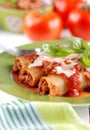 Cannelloni with meat sauce Royalty Free Stock Photo