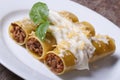 Cannelloni pasta stuffed with meat and bechamel sauce Royalty Free Stock Photo