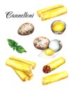 Cannelloni and Quail eggs watercolor