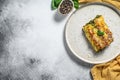 Cannelloni with ricotta and spinach. Italian cuisine. Gray background. top view. Copy space Royalty Free Stock Photo