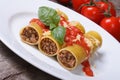 Cannelloni stuffed with meat and tomato sauce and cheese Royalty Free Stock Photo