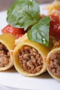 Cannelloni stuffed with meat and tomato sauce macro vertical Royalty Free Stock Photo