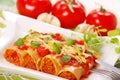 Canneloni with meat Royalty Free Stock Photo