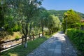 Cannero Riviera, Lake Maggiore. Promenade on the river from the old town. Piedmont, Italian Lakes, Italy, Europe Royalty Free Stock Photo