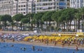 Cannes Royalty Free Stock Photo