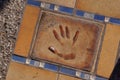 Hand print of Whoopi Goldberg in the Walkway of the Stars, Cannes France