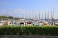Moored yachts and boats in the port in Cannes