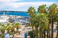 Cannes, France Le Vieux Port of Cannes. Cannes yachting festival Royalty Free Stock Photo