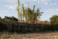 Canneto near a beach fenced by a wooden fence.