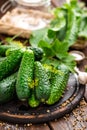 Canning cucumbers Royalty Free Stock Photo