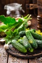 Canning cucumbers Royalty Free Stock Photo