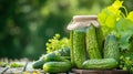 canning cucumbers on a wooden table in nature Royalty Free Stock Photo