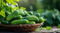 canning cucumbers on a wooden table in nature Royalty Free Stock Photo