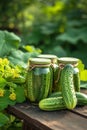 canning cucumbers on a wooden table in nature Royalty Free Stock Photo