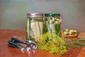 Canning fresh dill pickles at home