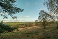 Cannock Chase Forest In Autumn Royalty Free Stock Photo