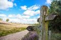 Cannock Chase Staffordshire England Royalty Free Stock Photo