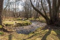 Cannock Chase Stepping Stones- Beautiful view with trees and running water Royalty Free Stock Photo