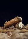 Cannoli, deep fried Italian pastry tubes with a sweet ricotta cheese, chocolate chips and hazelnuts served on a wooden board Royalty Free Stock Photo