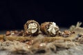 Cannoli, deep fried Italian pastry tubes with a sweet ricotta cheese, chocolate chips and hazelnuts served on a wooden board Royalty Free Stock Photo