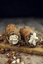 Cannoli, deep fried Italian pastry tubes with a sweet ricotta cheese, chocolate chips and hazelnuts served on a wooden board Royalty Free Stock Photo