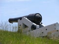 Cannon