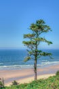 Cannon Beach, on Central Oregon Coast Royalty Free Stock Photo