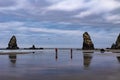 Cannon beach, Oregon Royalty Free Stock Photo