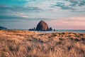 Cannon Beach, Oregon coast: the famous Haystack Rock in the golden light before sunset Royalty Free Stock Photo