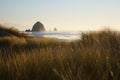 Cannon Beach Sand Dunes Royalty Free Stock Photo