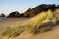 Cannon Beach Sand Dunes Royalty Free Stock Photo