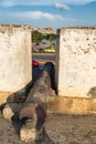 Cannon and colonial fort