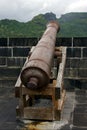 cannon in fort adelaide