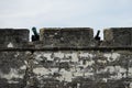 Cannon on Fort Castillo de San Marcos Royalty Free Stock Photo