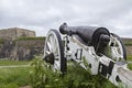 Cannon in Halden Royalty Free Stock Photo