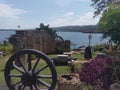 cannon, landscape, tree, village, wheel, oxcart, lakeside, lakeshore