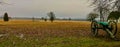 Cannon looking over Gettysburg Battlefield Royalty Free Stock Photo