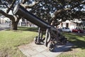 Cannon at the Marine Parade in Napier