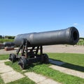 Cannon