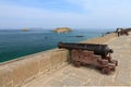 Cannon on the wall of Saint-Malo