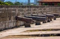 Cannons in the City Walls